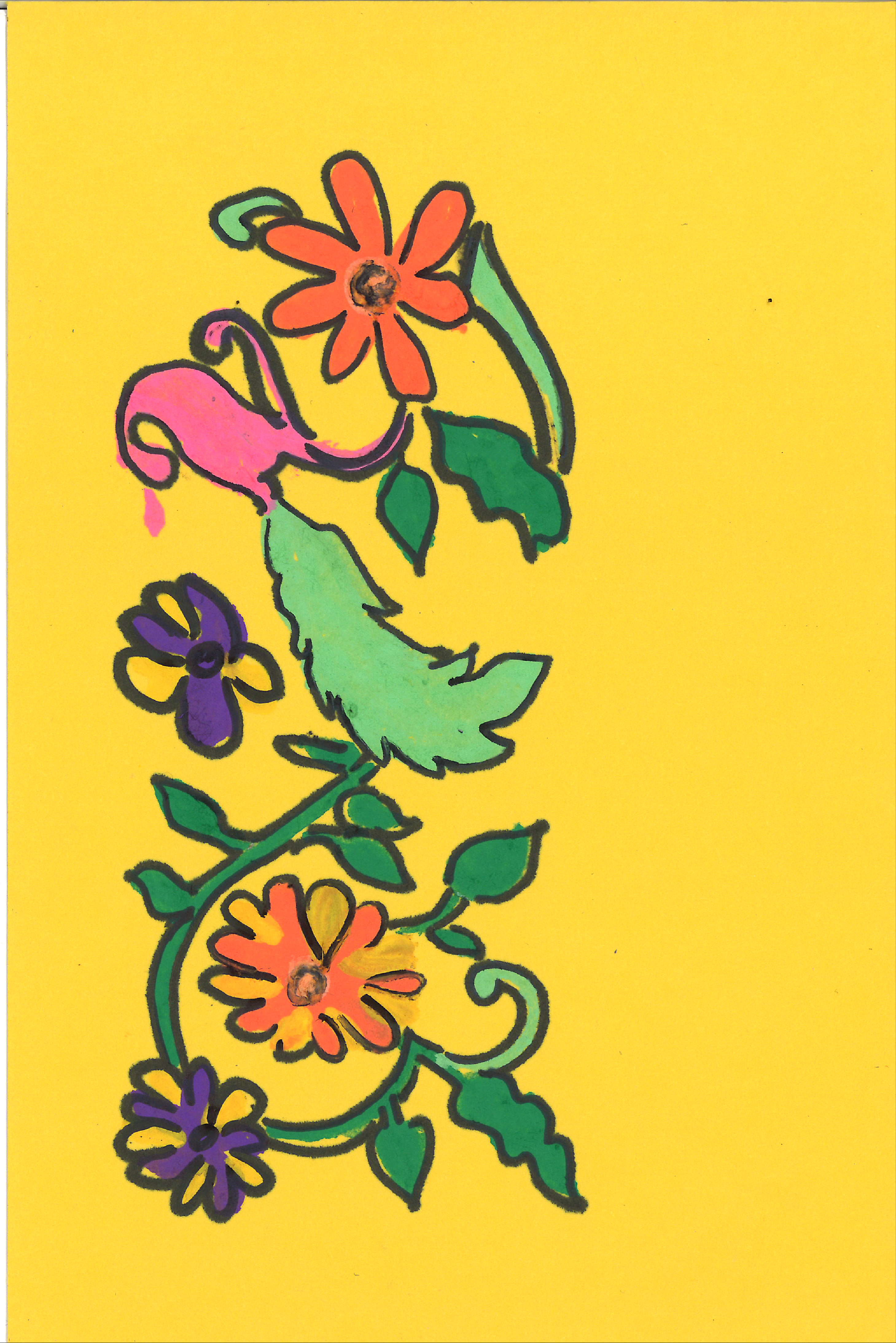 Image 14