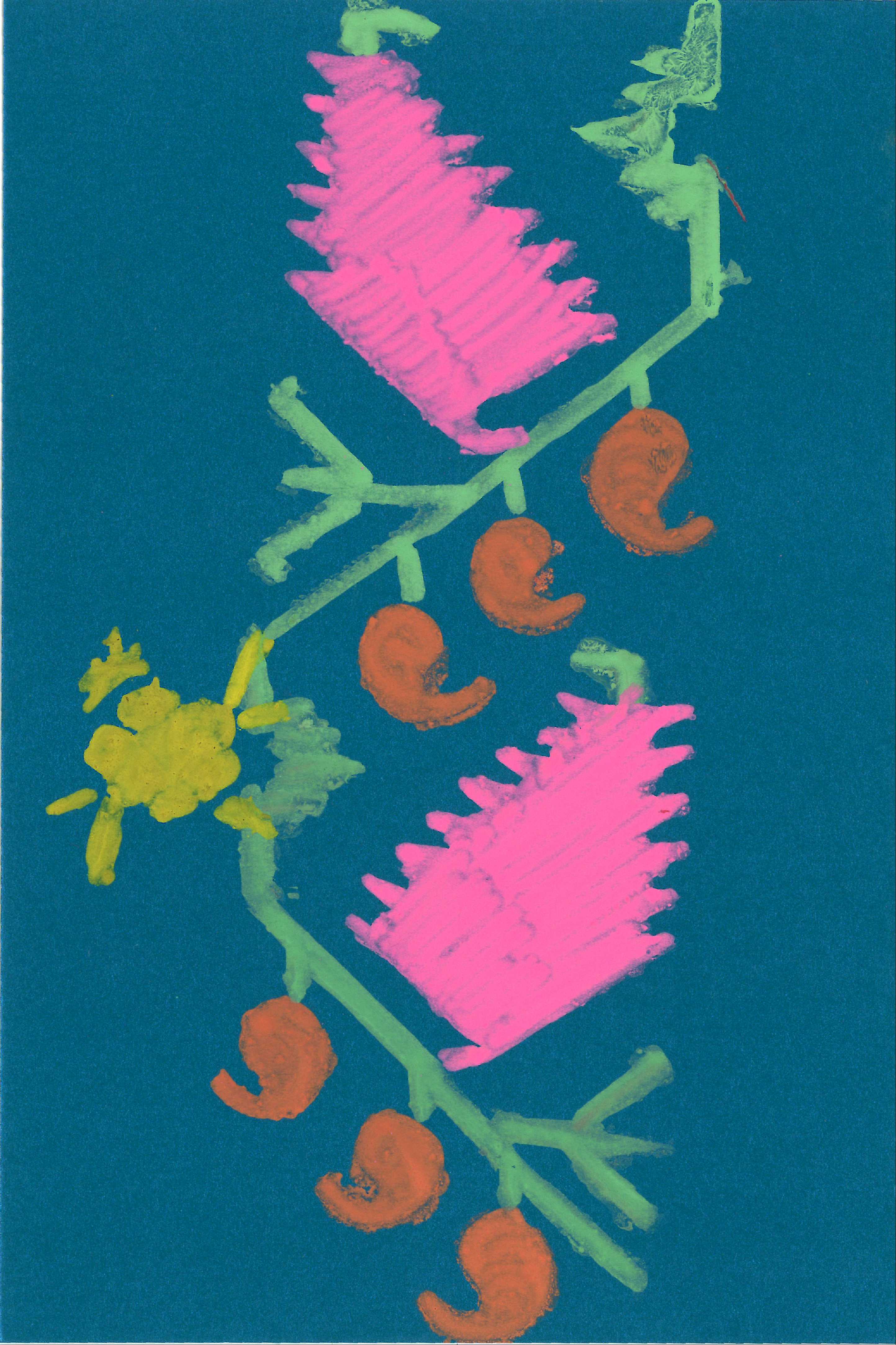 Image 17